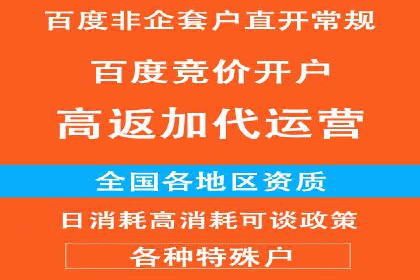 搜索开户返点案例分析：如何赚取丰厚回报
